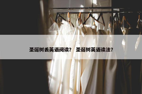 圣诞树丢英语阅读？ 圣诞树英语读法？