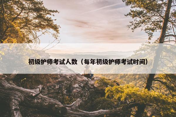 初级护师考试人数（每年初级护师考试时间）