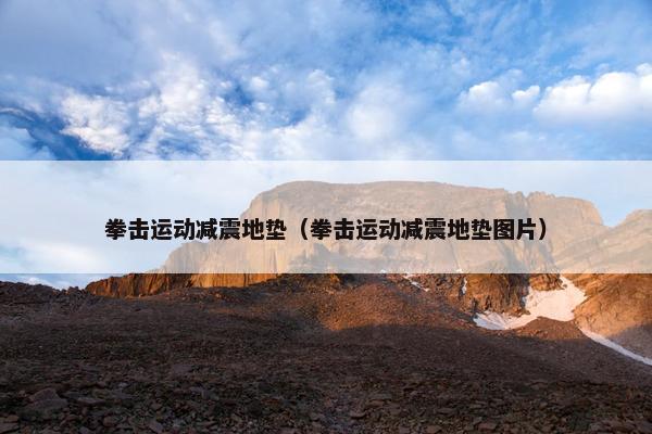 拳击运动减震地垫（拳击运动减震地垫图片）