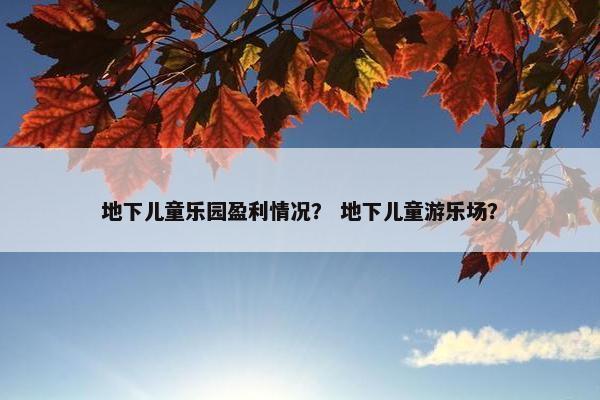 地下儿童乐园盈利情况？ 地下儿童游乐场？