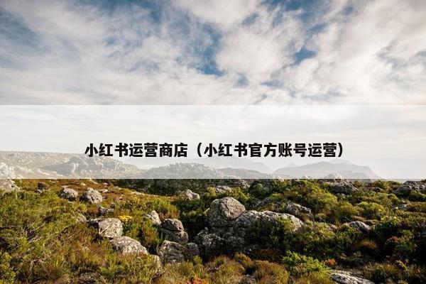 小红书运营商店（小红书官方账号运营）