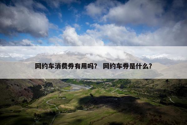 网约车消费券有用吗？ 网约车券是什么？