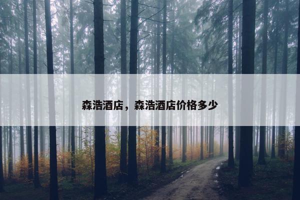 森浩酒店，森浩酒店价格多少