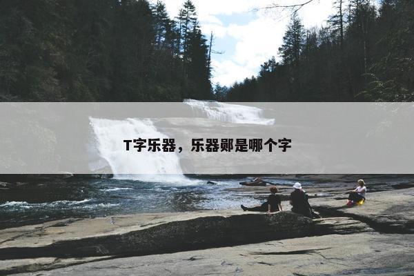 T字乐器，乐器郧是哪个字