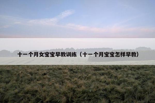 十一个月女宝宝早教训练（十一个月宝宝怎样早教）