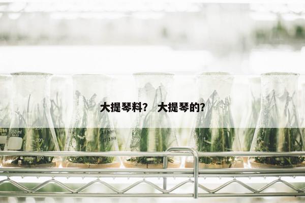 大提琴料？ 大提琴的？