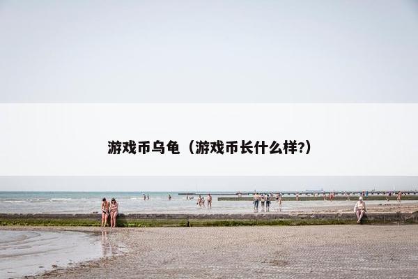 游戏币乌龟（游戏币长什么样?）
