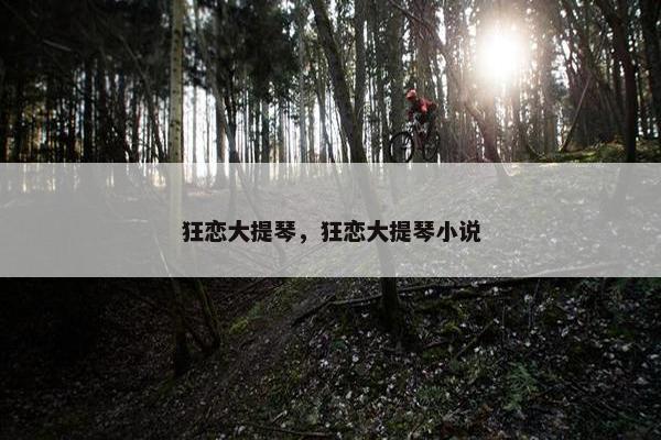 狂恋大提琴，狂恋大提琴小说