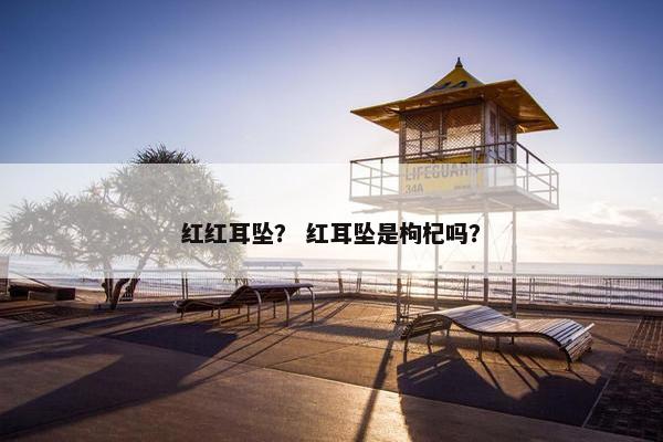 红红耳坠？ 红耳坠是枸杞吗？