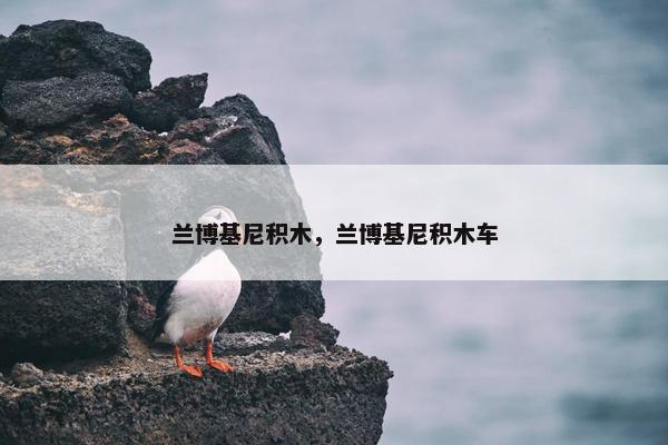 兰博基尼积木,兰博基尼积木车 兰博基尼积木,兰博基尼积木车