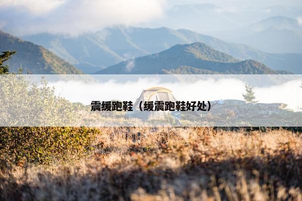 震缓跑鞋（缓震跑鞋好处）