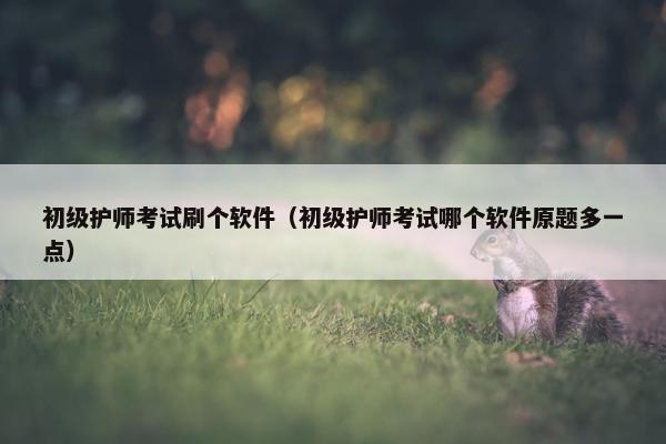 初级护师考试刷个软件（初级护师考试哪个软件原题多一点）