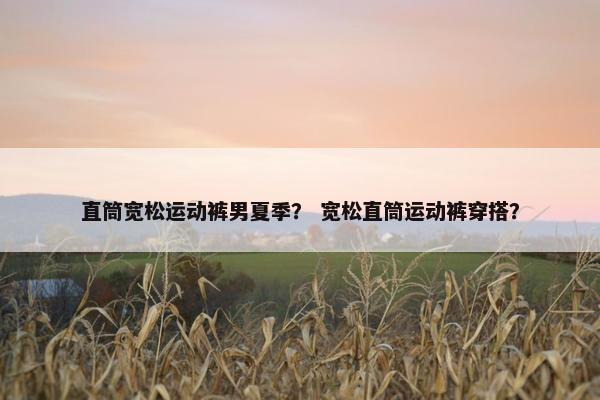 直筒宽松运动裤男夏季？ 宽松直筒运动裤穿搭？