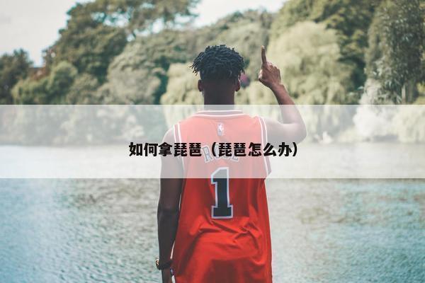 如何拿琵琶（琵琶怎么办）