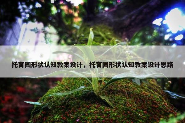 托育园形状认知教案设计，托育园形状认知教案设计思路