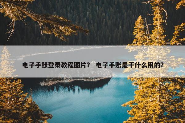 电子手账登录教程图片？ 电子手账是干什么用的？
