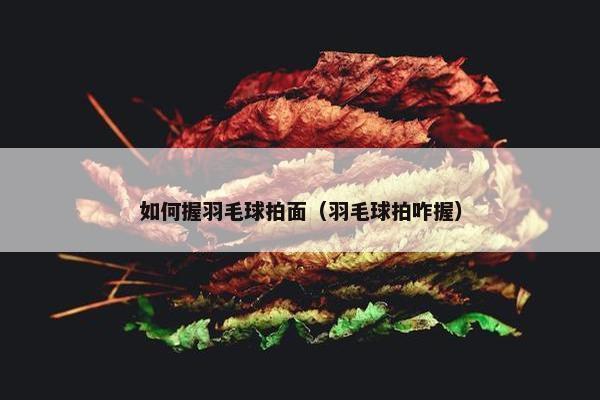 如何握羽毛球拍面(羽毛球拍咋握) 如何握羽毛球拍面(羽毛球拍咋握)