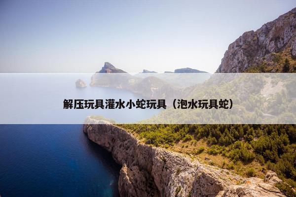 解压玩具灌水小蛇玩具（泡水玩具蛇）