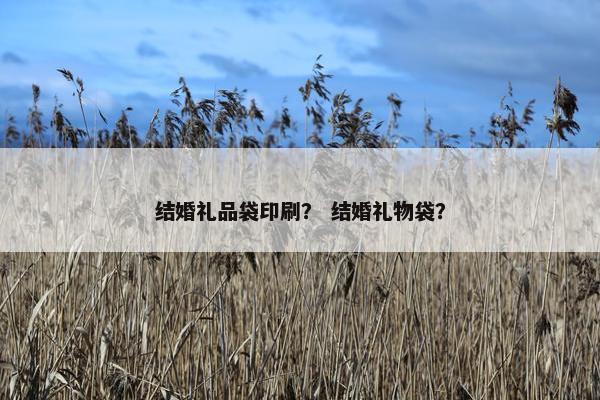 结婚礼品袋印刷？ 结婚礼物袋？