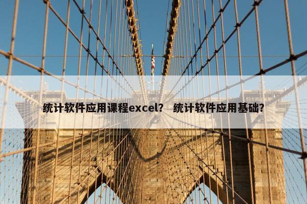 统计软件应用课程excel？ 统计软件应用基础？